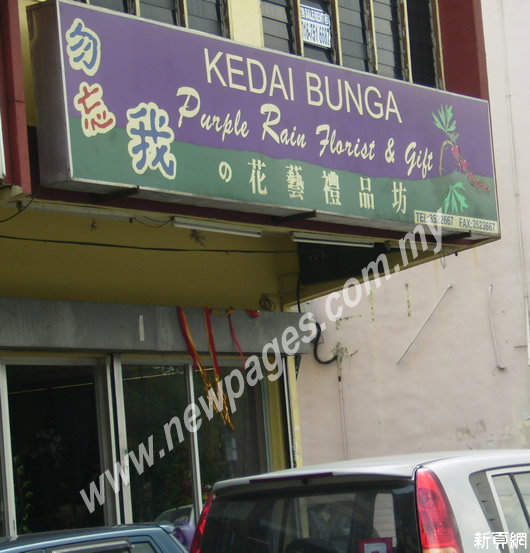 Purple Rian Florist & Gift