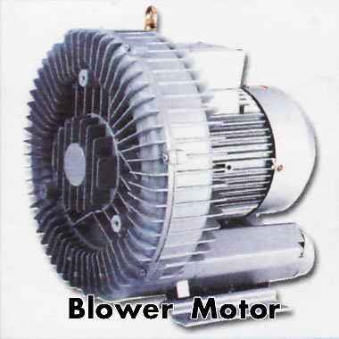 Blower Motor