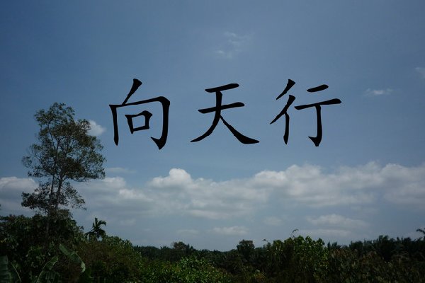 向天行齋料貿易公司