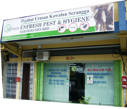 ENFRESH PEST & HYGIENE SERVICES SDN BHD