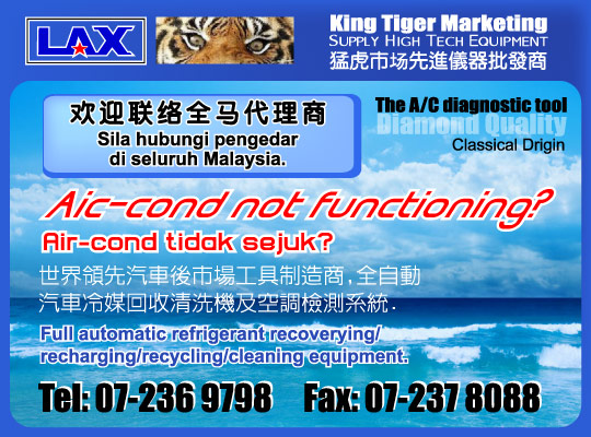 King Tiger Marketing