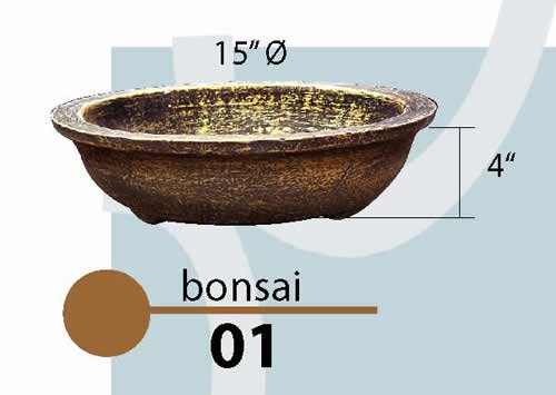 Bonsai 01