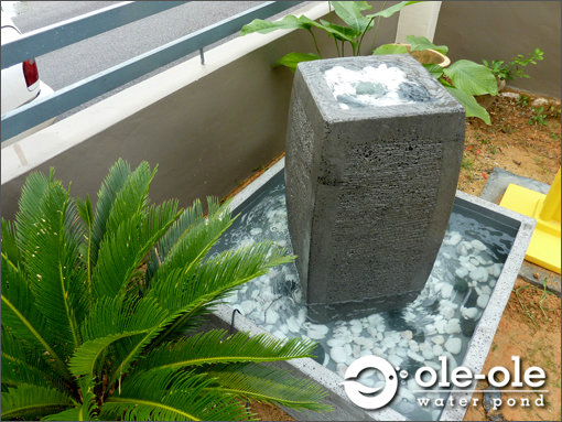 P1.Water Ponds Design Malaysia.Kolam Ikan.Hiasan.Johor.Fengs P1.Water Ponds Design Malaysia.Kolam Ikan.Hiasan.Johor.Fengs