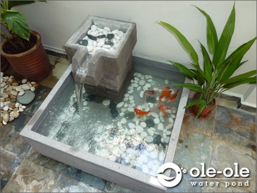 P22M.Water Ponds Design Malaysia.Kolam Ikan.Hiasan.Johor.Fen P22M.Water Ponds Design Malaysia.Kolam Ikan.Hiasan.Johor.Fen