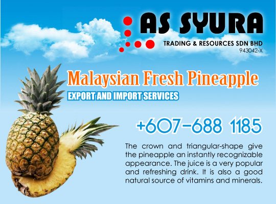 AS SYURA TRADING & RESOURCES SDN BHD