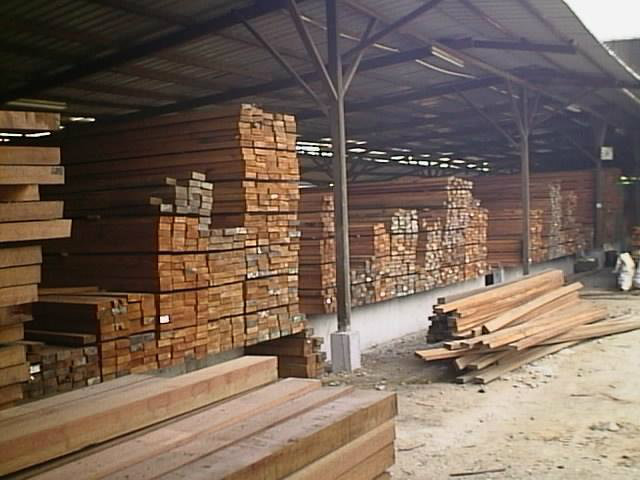 Kapur Wood