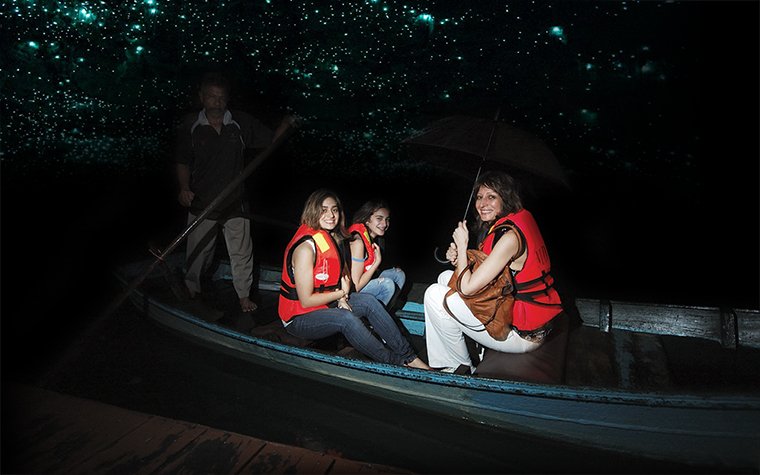 Kuala Selangor Nature Park and Fireflies Tour