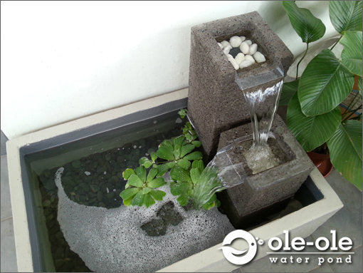 P33.Water Ponds Design Malaysia.Kolam Ikan.Hiasan.Johor.Feng