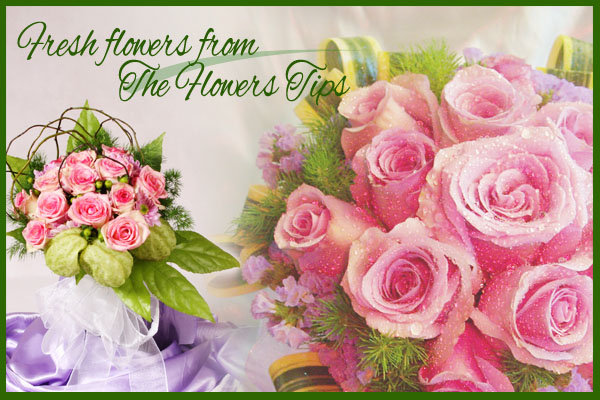 A Flower Tip