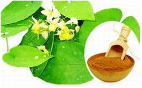 Horny Goat Weed Extract