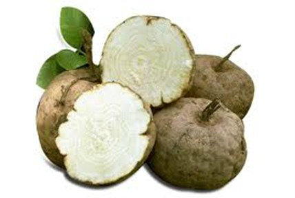 Pueraria Mirifica Extract