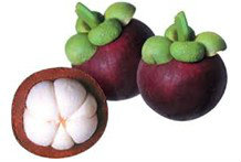 Mangosteen Extract