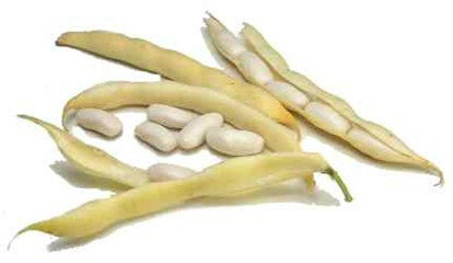 White kidney Bean Extract