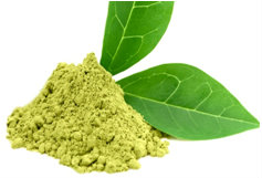 Green Tea Extract 