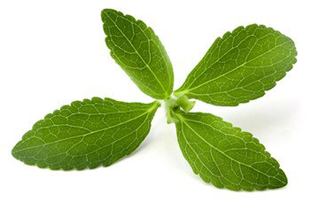 Stevia Extract