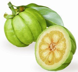 Garcinia Cambogia Extract 