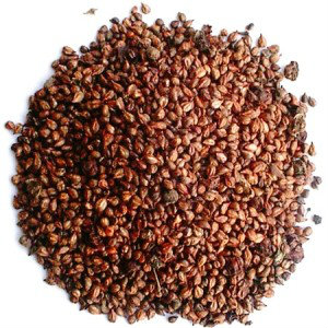 Grapeseed Extract