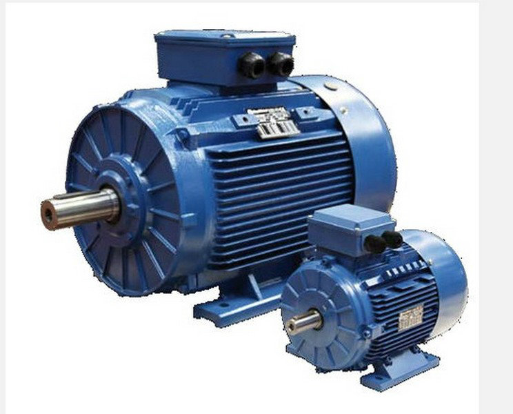 Marelli Three Phase Induction Motor