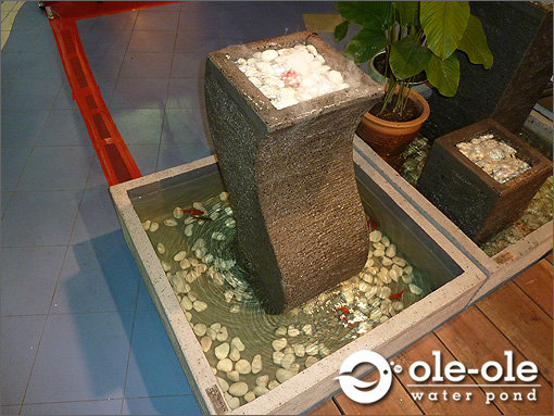 P1.Water Ponds Design Malaysia.Kolam Ikan.Hiasan.Johor.Fengs