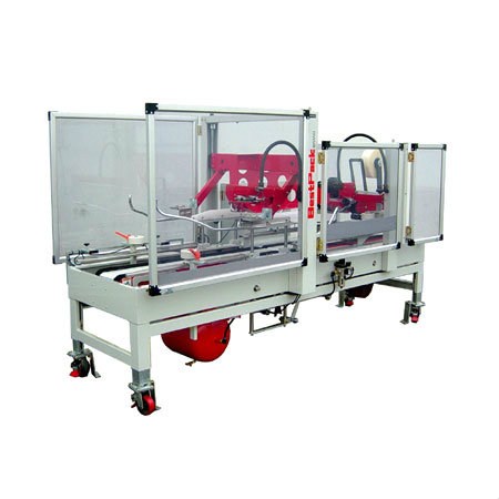 Automatic Top and Bottom Drive Fruit Box Machine (ATFUX)