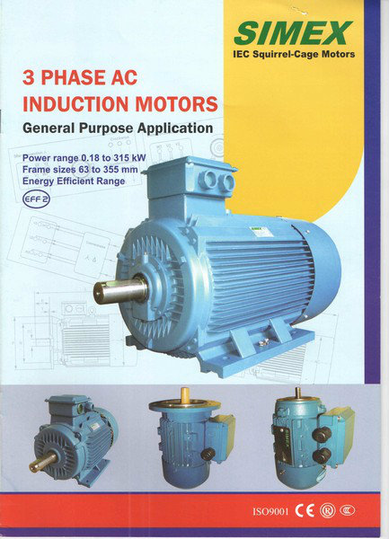 Simex Three Phase AC Induction Motor