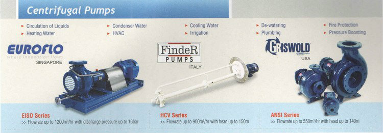 Centrifugal Pump Euroflo / Griswold 