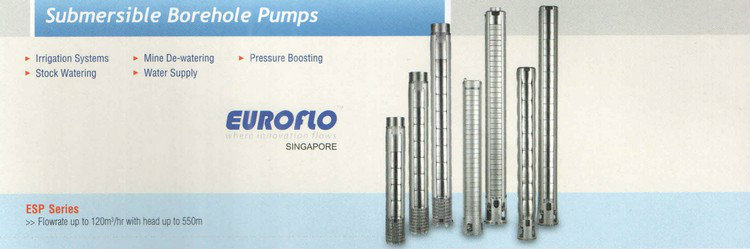 Euroflo Submersible Borehole Pump