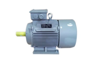 Simotics China Standard Motor ( 1LE0 ) IE1, IE2