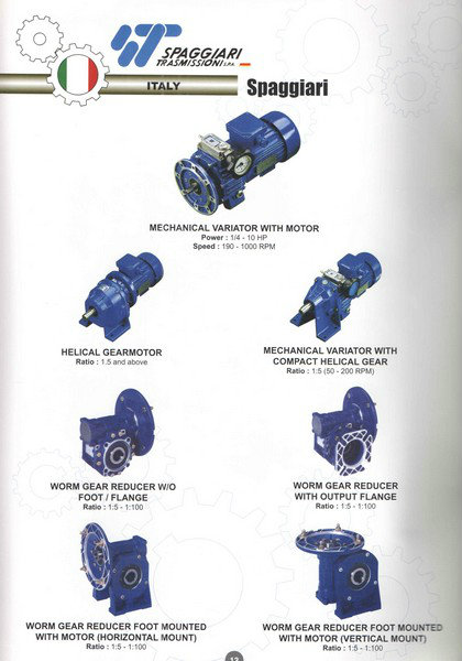 Spaggiari Mechanical Variotor, Helical Gear, Worm Gear