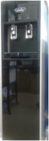 DSM 888FS DSM 888FS