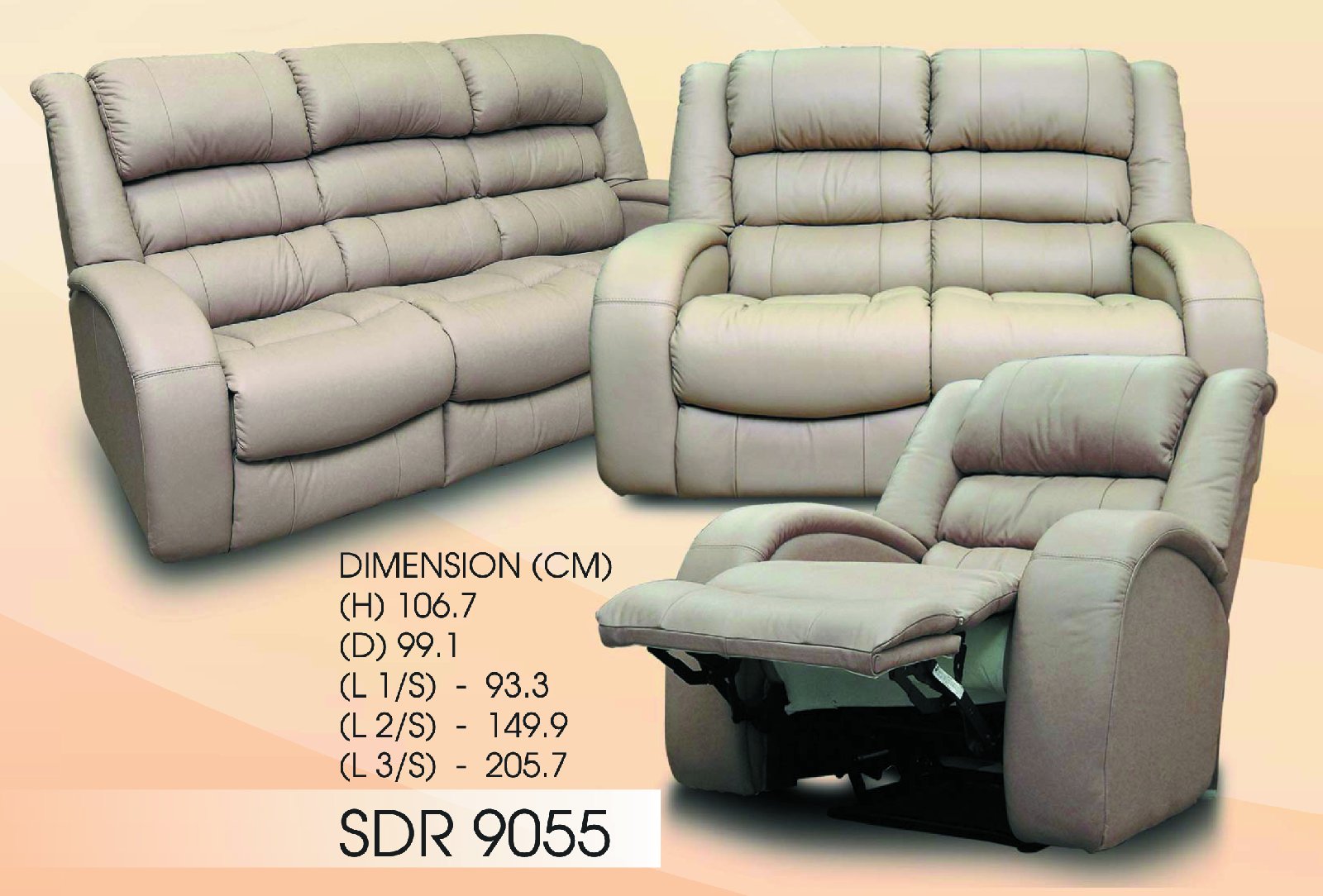 SDR 9055 3/S+2/S+1R SDR 9055 3/S+2/S+1R