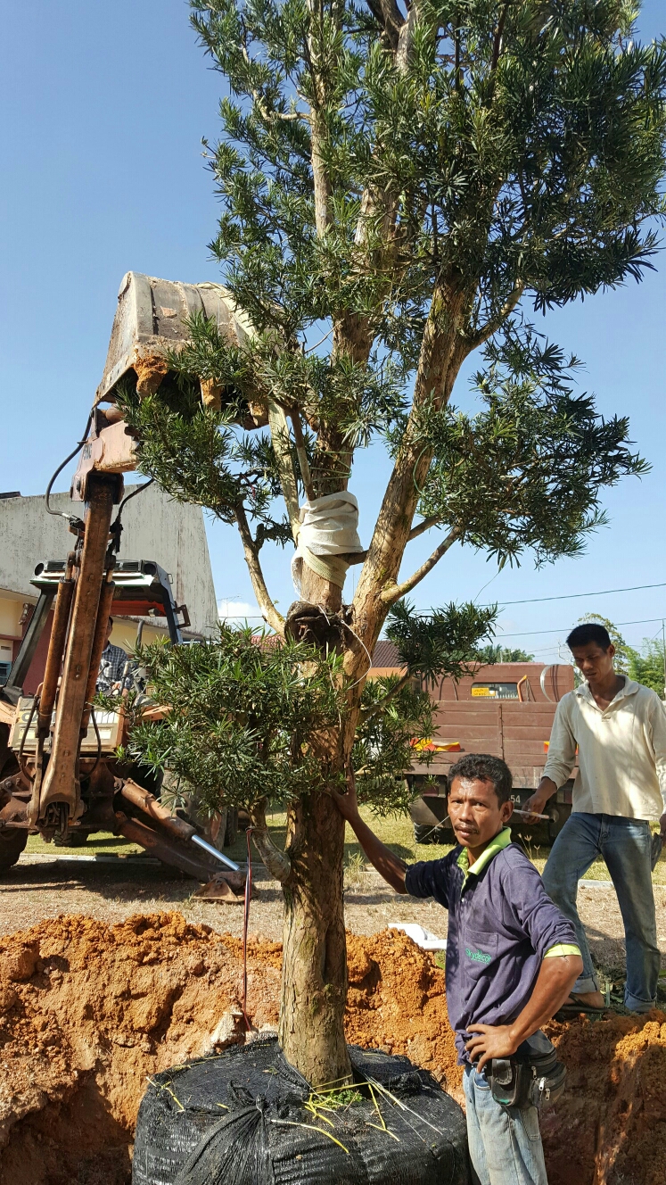 planted works planted works