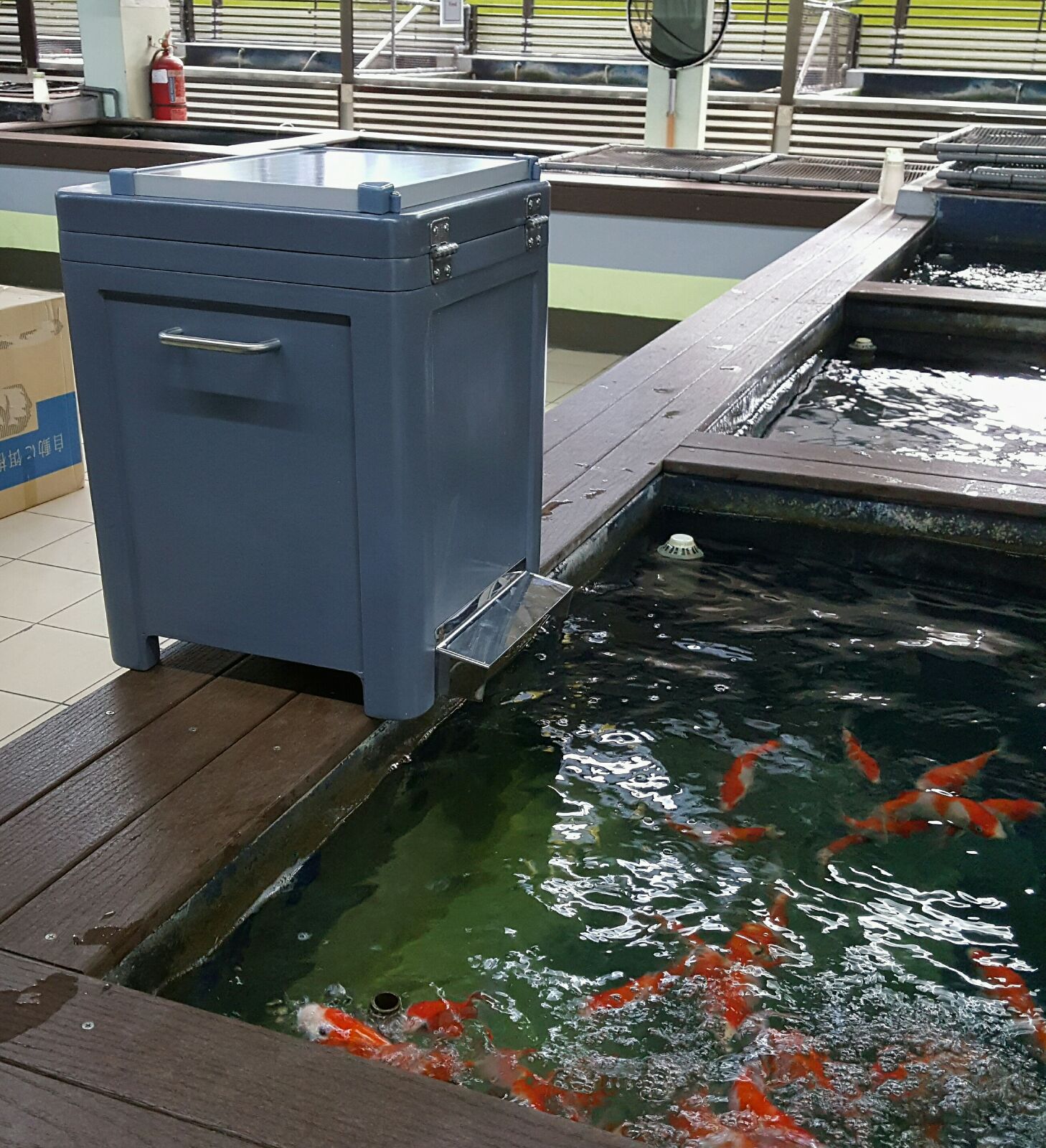 Solar koi food feeder Koi Pond Accessories Johor Bahru (JB), Malaysia Supply Supplier Suppliers