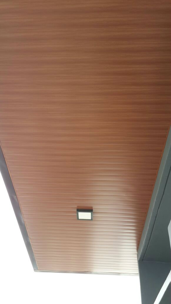 Strip Ceiling 