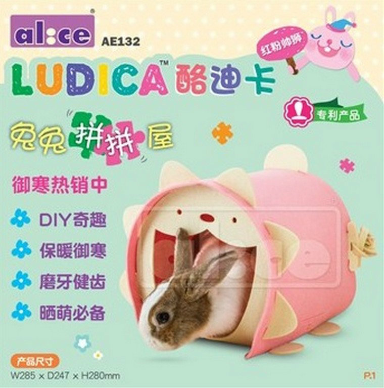 AE132 Alice Ludica Puzzle Home