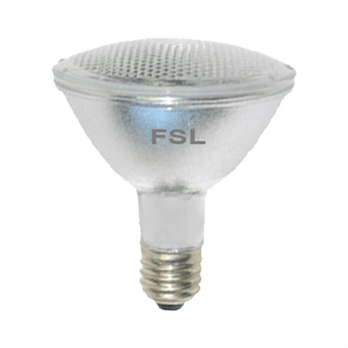 LED PAR