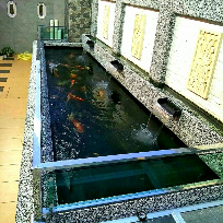 18 ft long with water fountain x 3 nos cultured tiles for Koi pond johor bahru