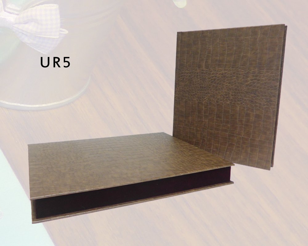 UR5 UR5