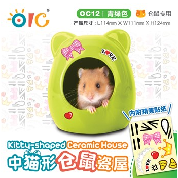 OC12 OIC Kitty Shaped Ceramic House Green