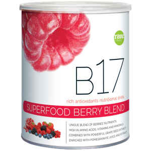 SUPERFOOD BERRY BLEND B17 SUPERFOOD BERRY BLEND B17