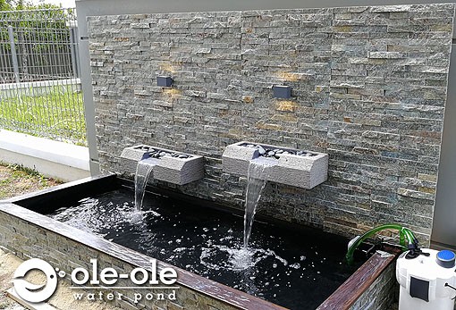 ECOP19.Water Ponds Malaysia.Kolam Ikan.Hiasan.Johor.Fengshui ECOP19.Water Ponds Malaysia.Kolam Ikan.Hiasan.Johor.Fengshui