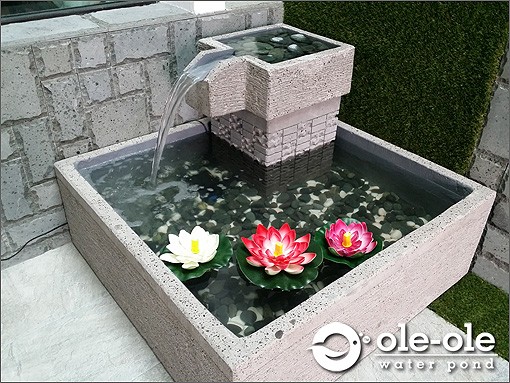 P22M.Water Ponds Malaysia.Kolam Ikan.Hiasan.Johor.Fengshui.G