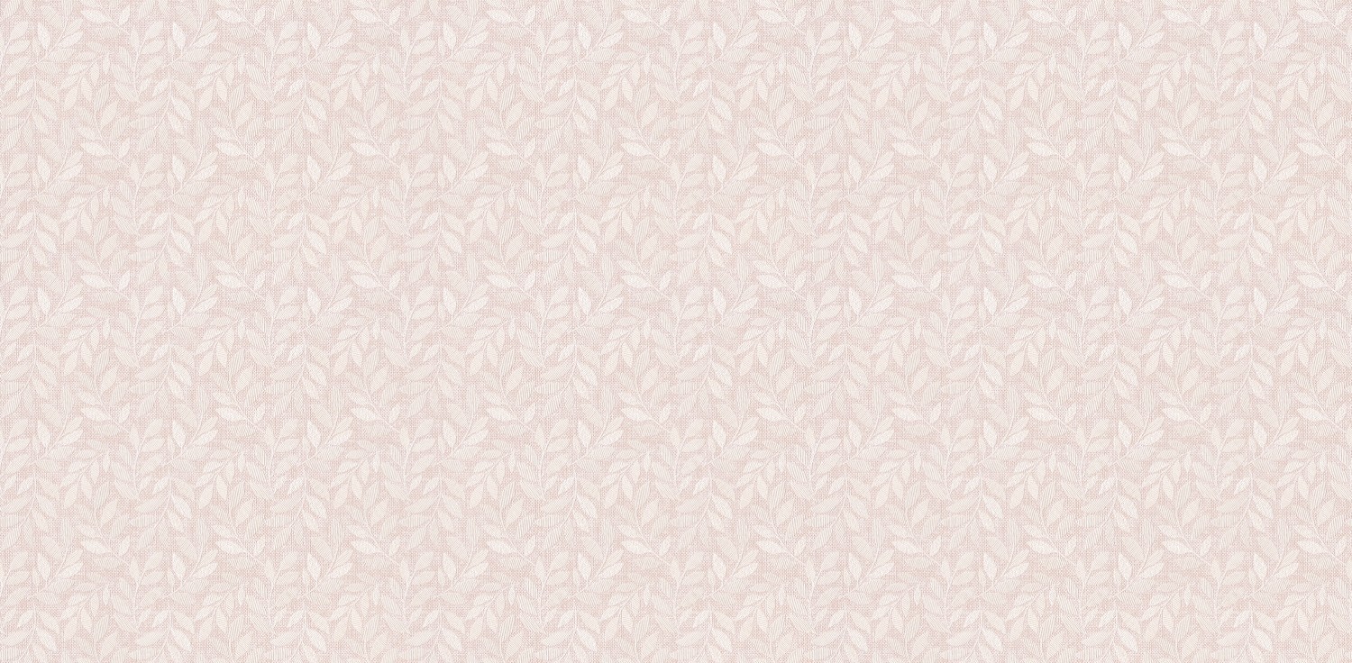 Korea Wallpaper Kara