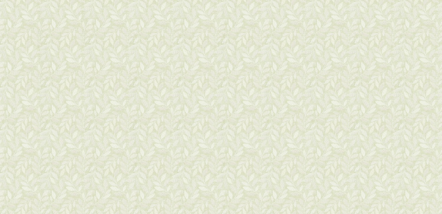 Korea Wallpaper Kara
