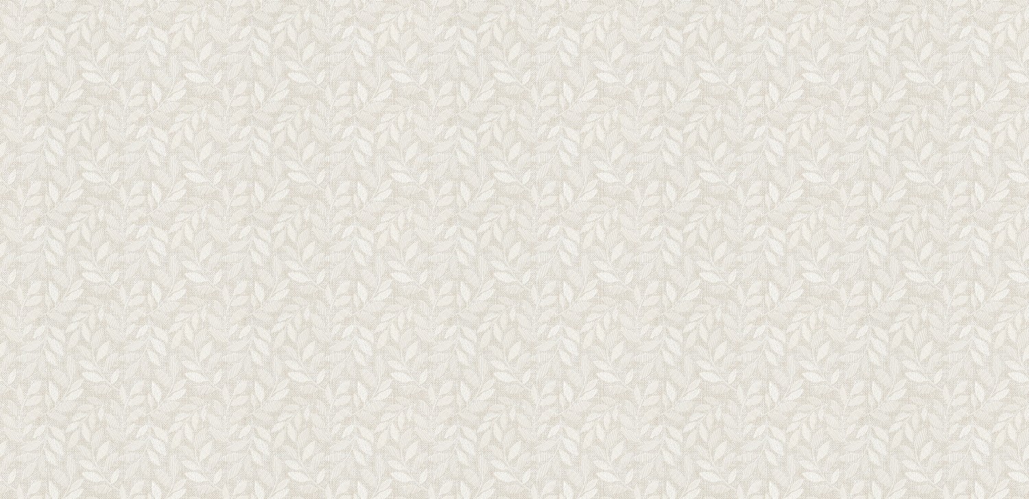 Korea Wallpaper Kara