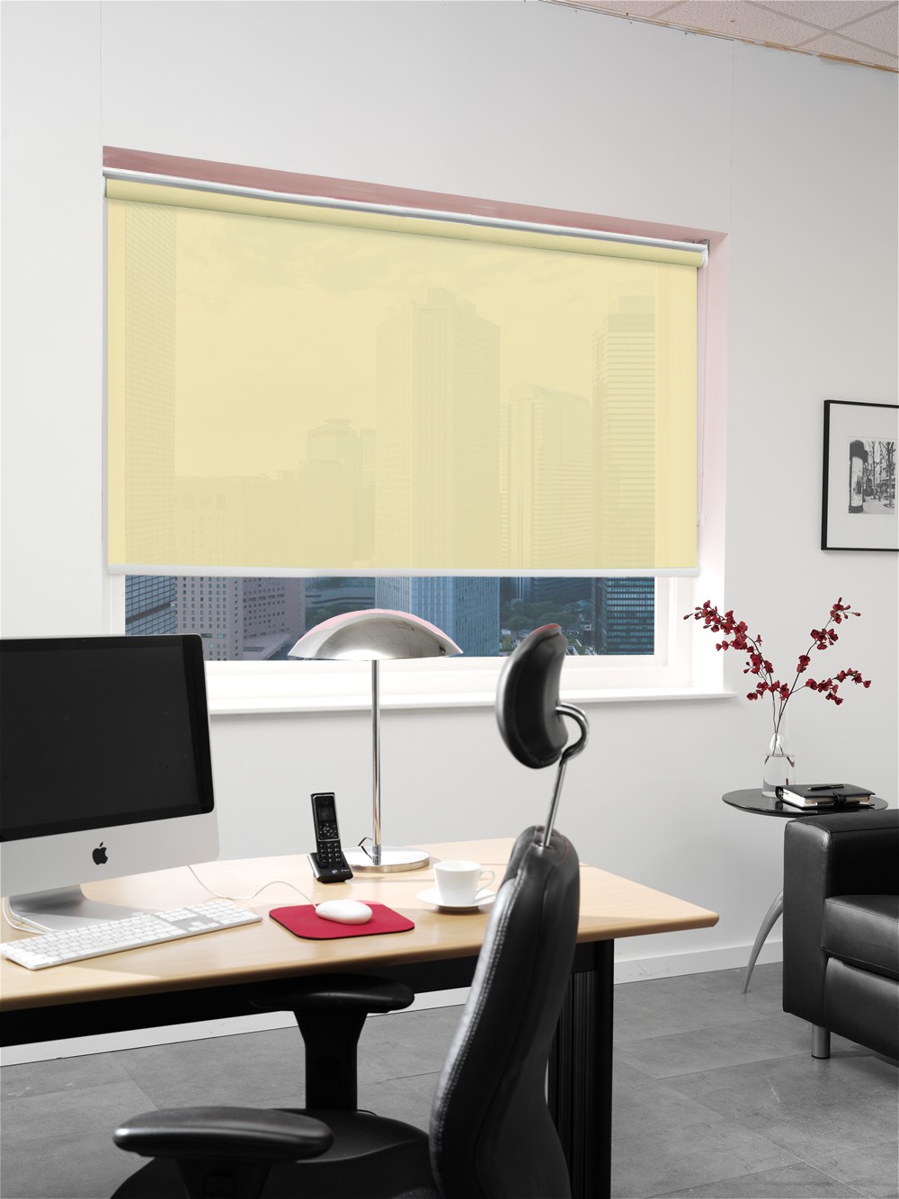 Roller Blinds