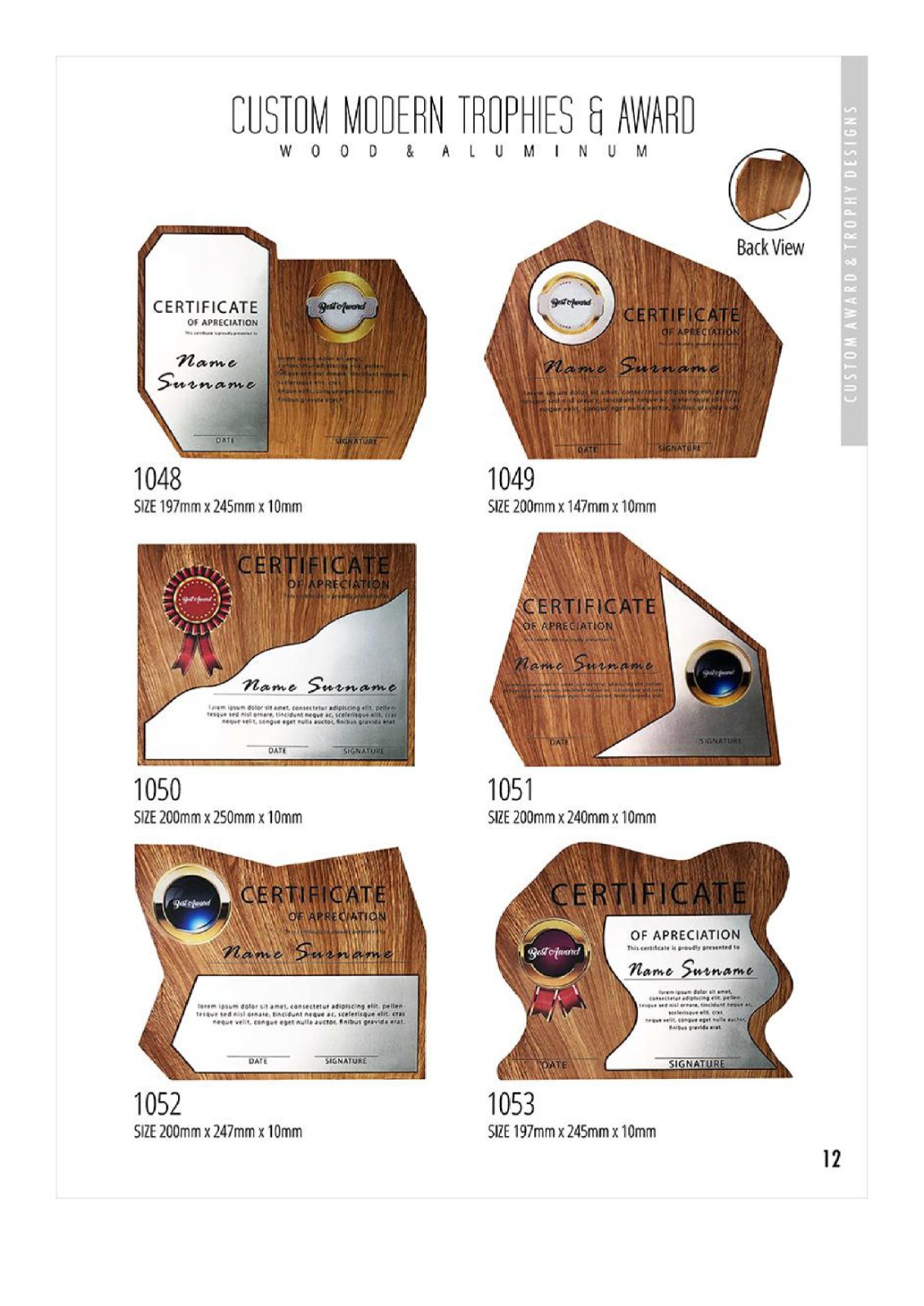 Custom Modern Trophies & Award