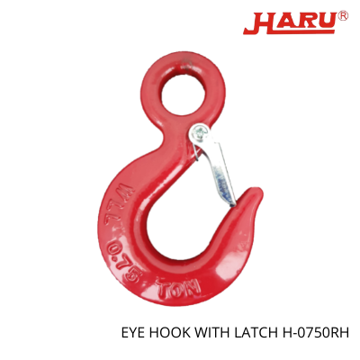 Eye Hooks With Latch H-0750RH