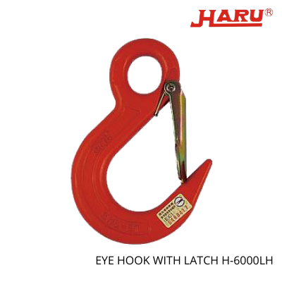Eye Hooks With Latch H-6000LH