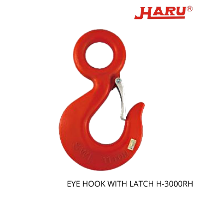 Eye Hooks With Latch H-3000RH